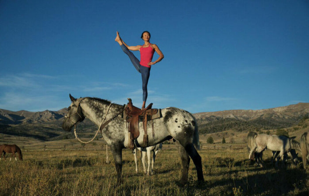 Foto via: <a href="https://twitter.com/prAna/status/768546003347644416/photo/1" target="_blank">Prana</a> 01. 2. horse-yoga