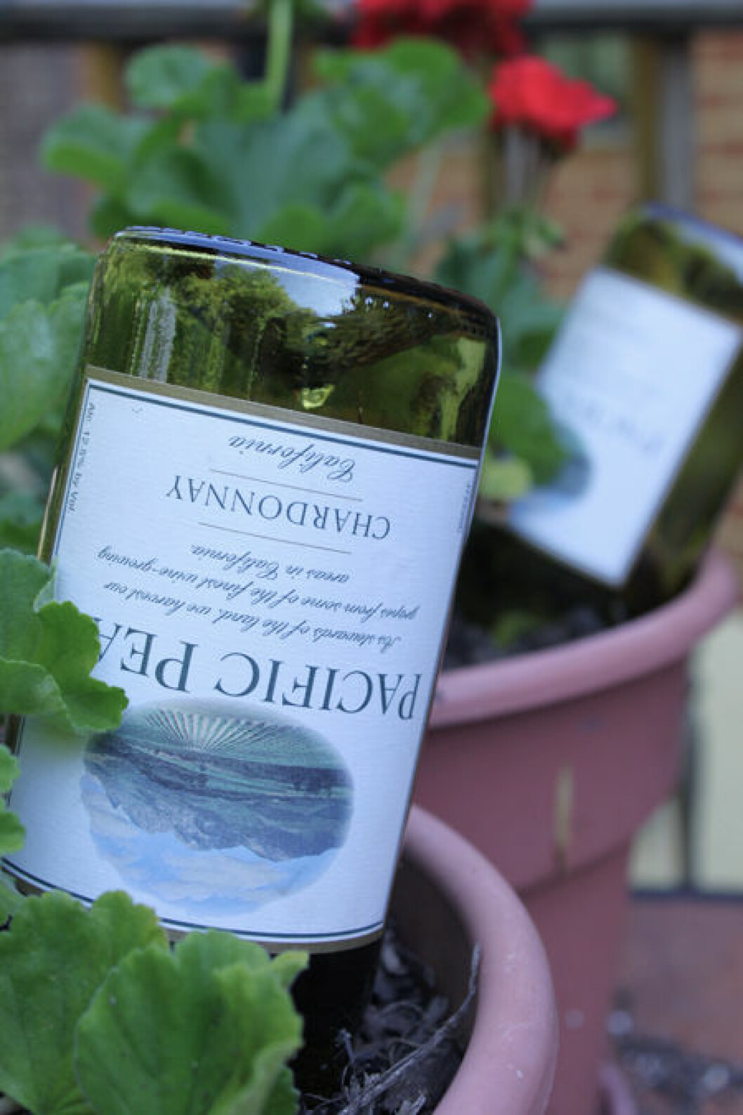 Via: <a href="http://thegreenists.com/gardening/green-garden-hack" target="_blank">The Greenists</a> 02. wine-water
