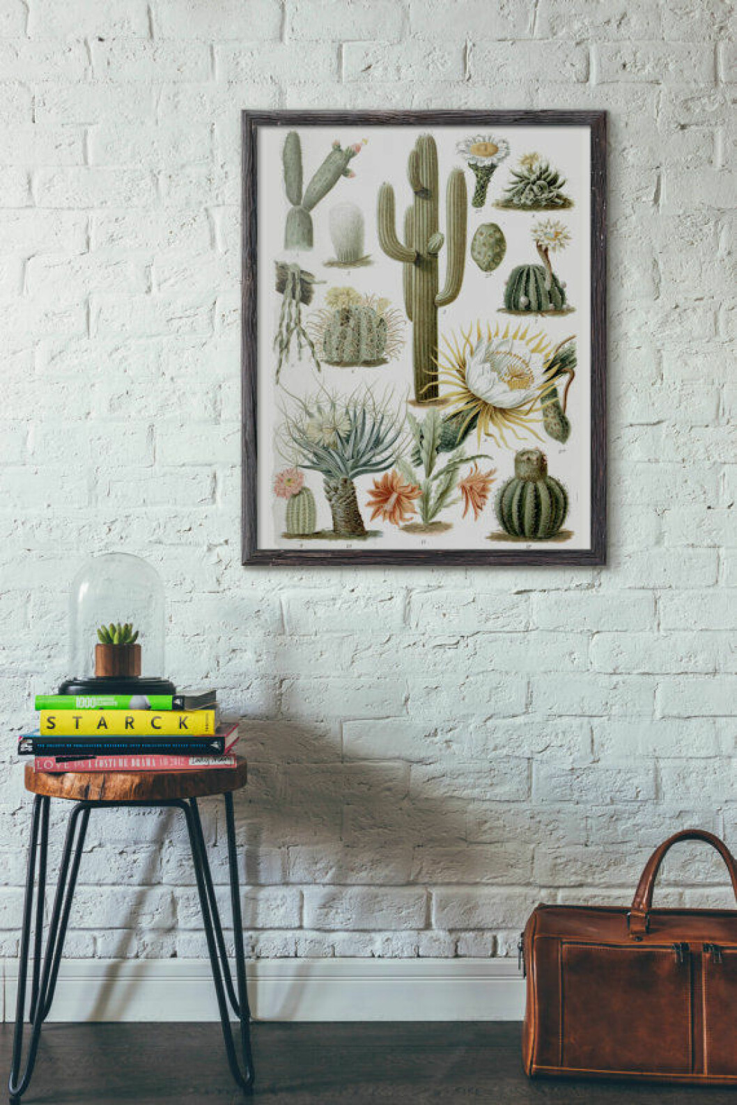 Via: <a href="https://www.etsy.com/se-en/listing/250345117/antique-1800s-cactus-chart-poster-art?ref=unav_listing-same" target="_blank">The Black Vinyl</a> 03. tavla-kaktus