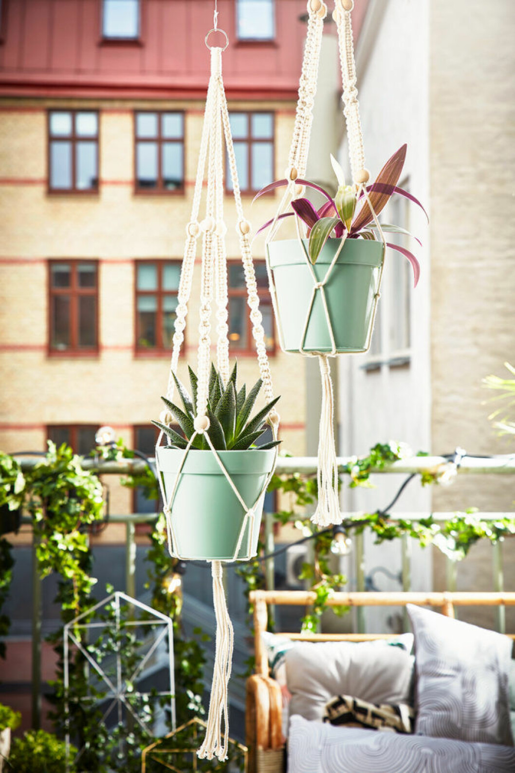 Foto: Lagerhaus Ampel på balkongen med växter.