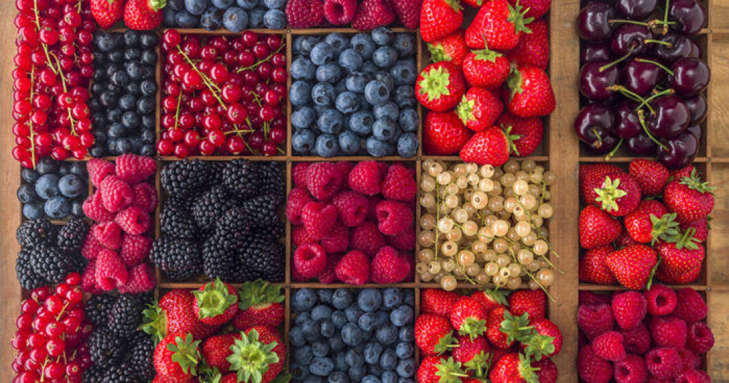 mat antiinflammatorisk kost