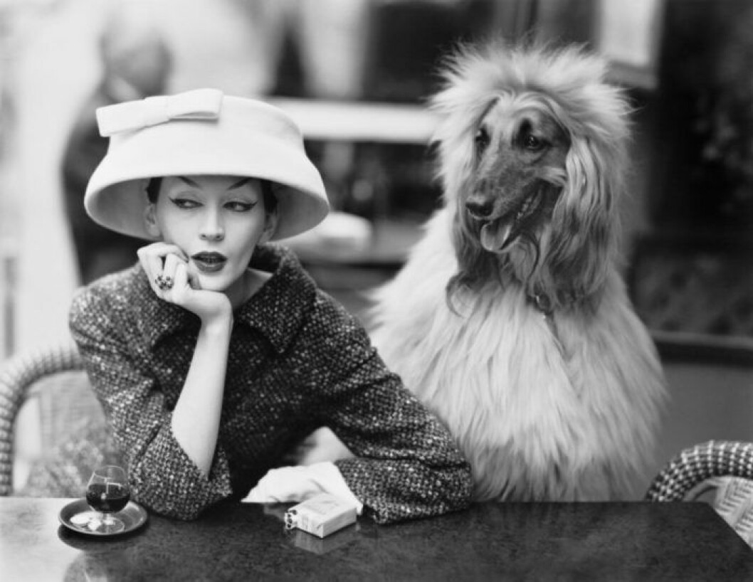 Dovima och Sacha, hatt och dräkt av Balenciaga, Café Les Deux Magots, Paris, 1955. Balenciaga Borås