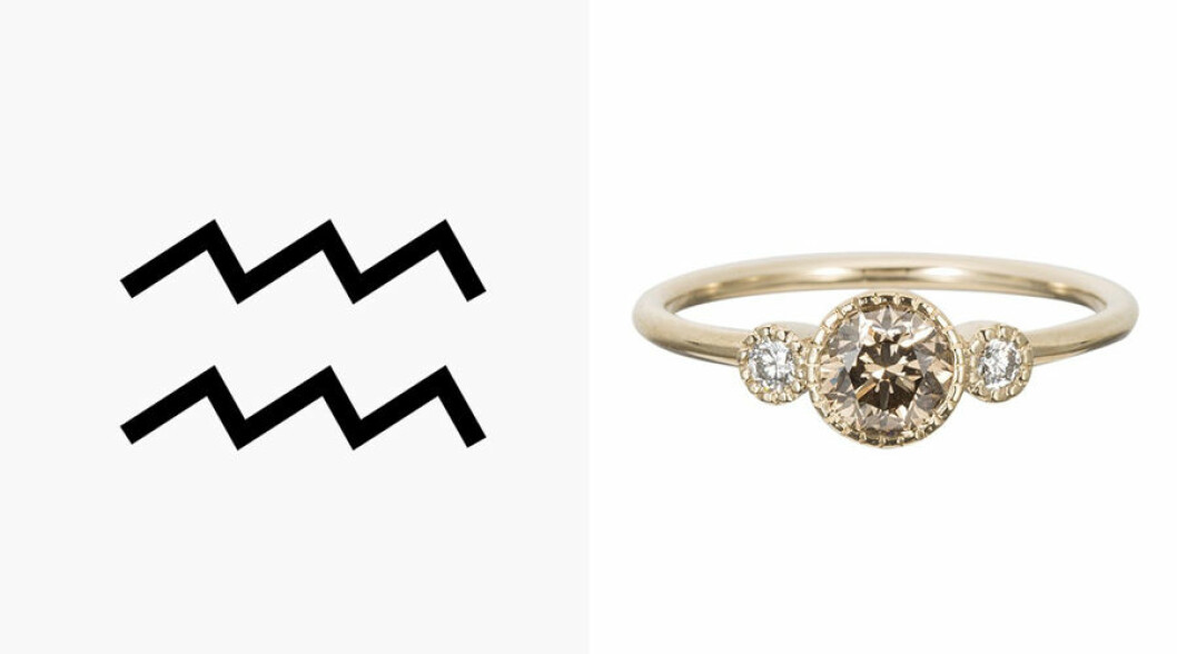 Foto via: <a href="http://jenniekwondesigns.com/products/champagne-diamond-round-ring" target="_blank" rel="noopener">Jennie Wonk design</a> 11. vattumannen-ring