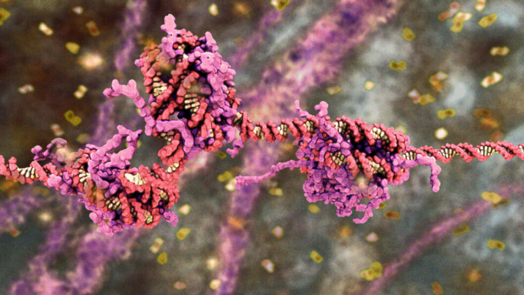 Body Code. En visualisering av livets kod. Drew Berry, wehi.tv, 2018. Foto: E.O.Wilson Biodiversity Foundation