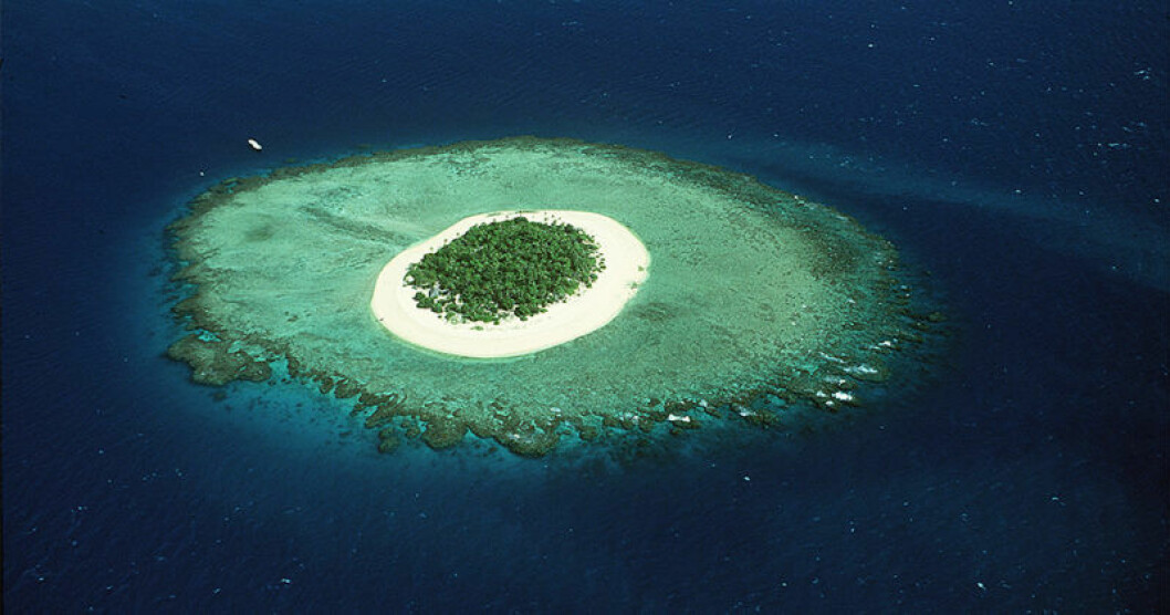 Fiji är ett populärt resmål.