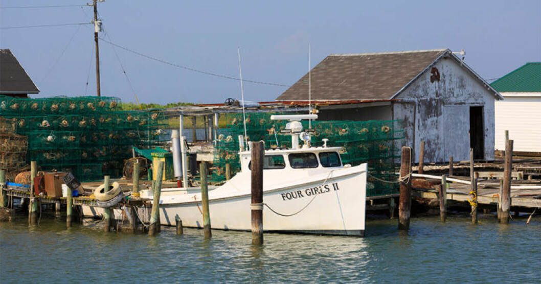 Tangier Island, Virginia, har redan förlorat en stor del av sin landmassa.