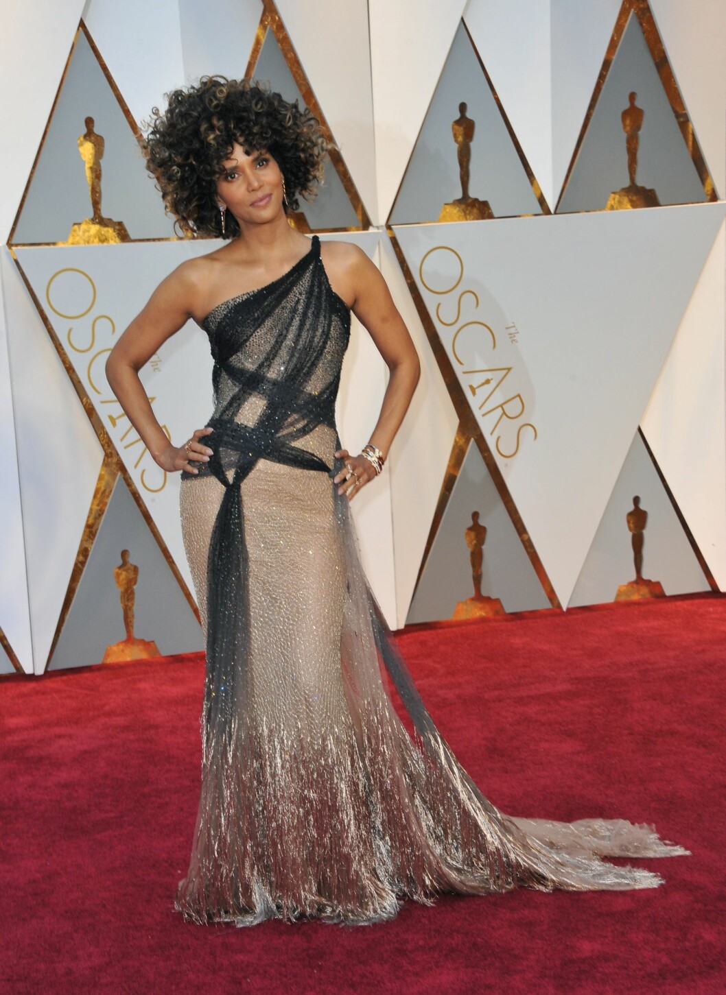 Halle Berry på röda mattan. Halle-berry-oscars-versace