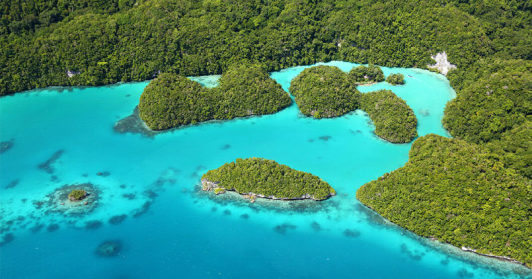 Palau gillas av dykare.