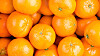Skillnad mellan clementin mandarin Femina