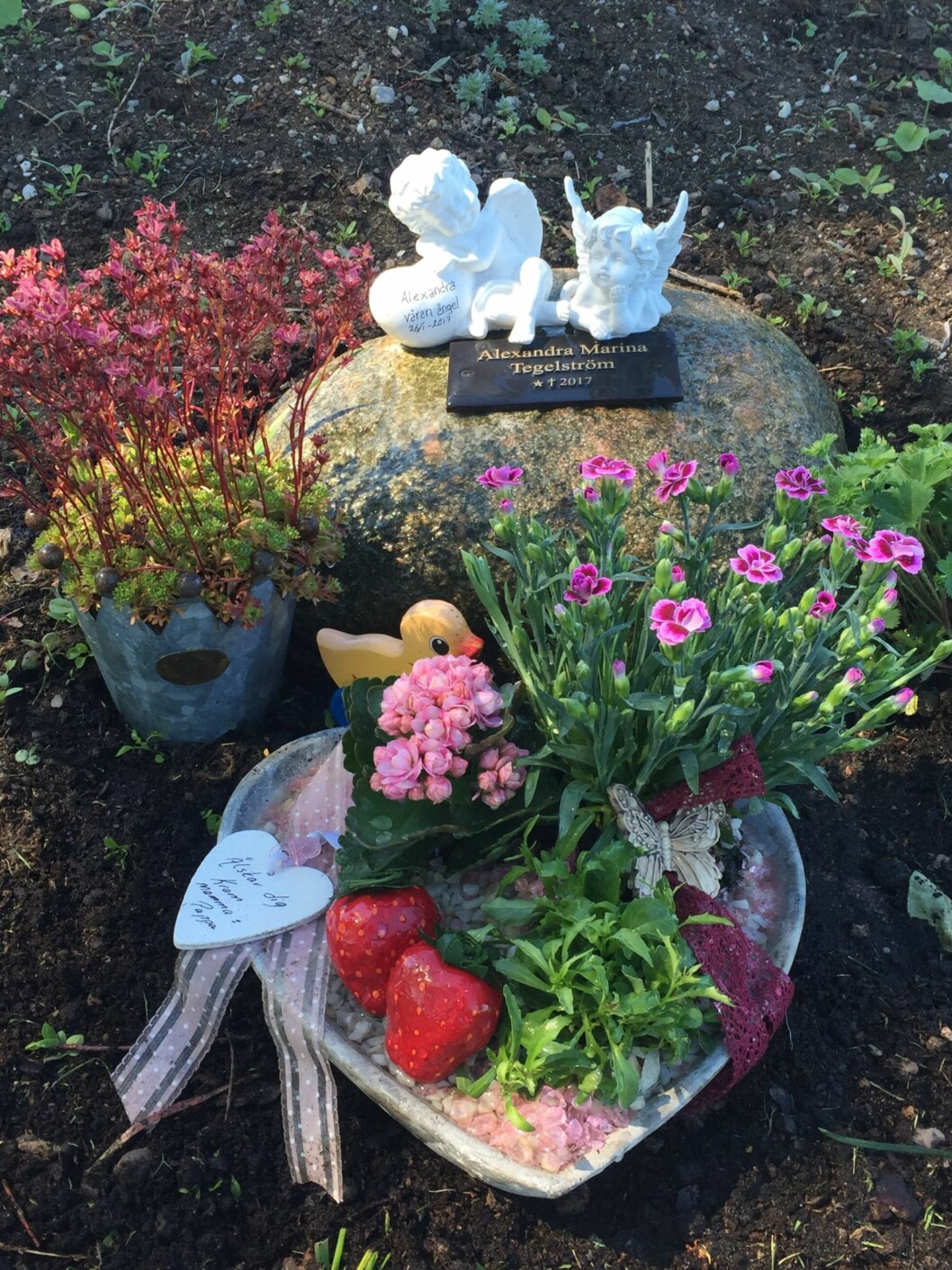 Istället för att åka hem från BB med en nyfödd, tvingades Emmy och hennes man planera för en begravning. FOTO: Privat