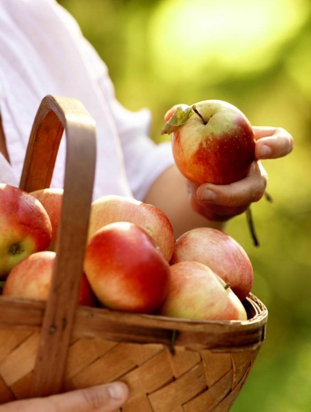 Ett äpple om dagen…