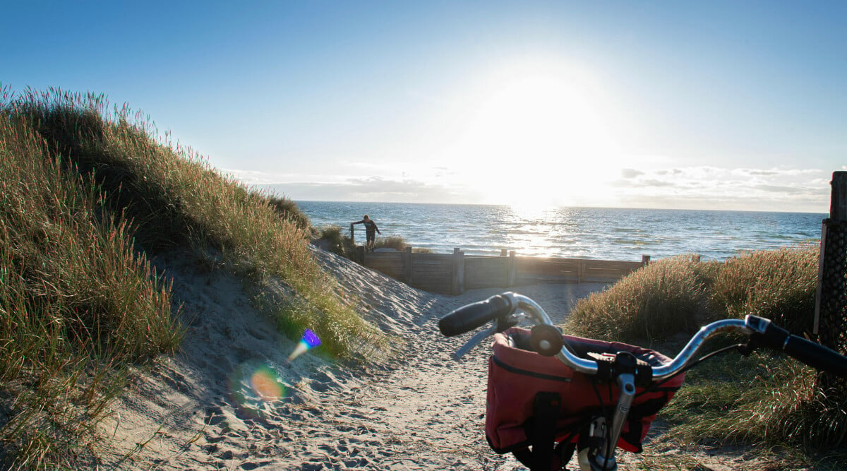 Guide till Læsø – soldyrkarnas favoritö i Kattegatt