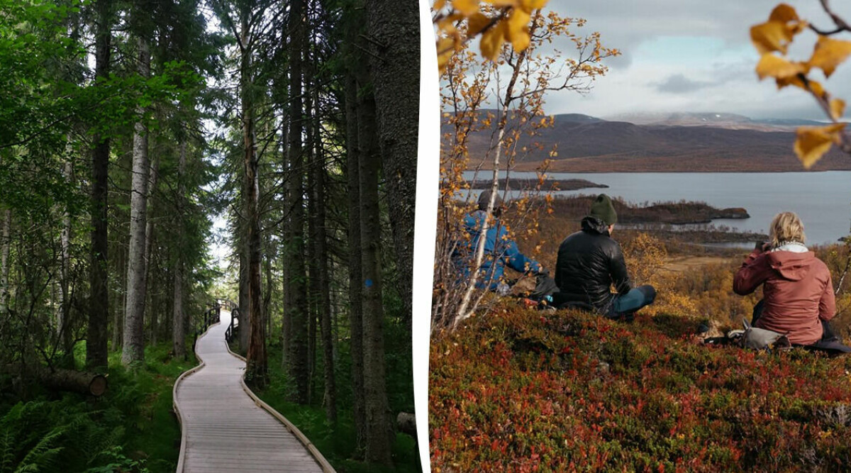 Vandra utan att tälta – här är 5 vandringleder med bekväma boenden nära
