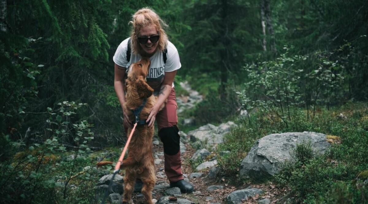 7 vackra vandringsleder i Sverige som är perfekta för nybörjare