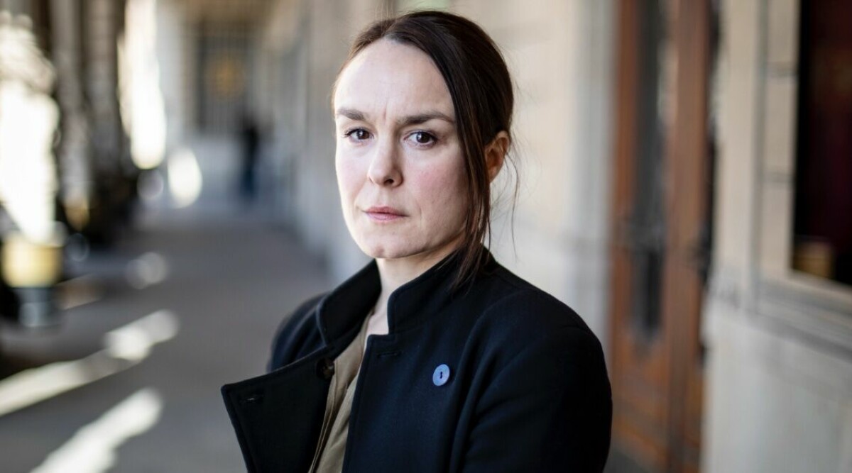 Rebecka Hemses kärlek – Beck-kollegan