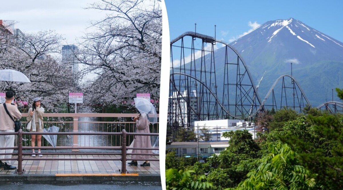 Japan är svenskarnas nya drömresemål: Här är allt du vill veta inför besöket