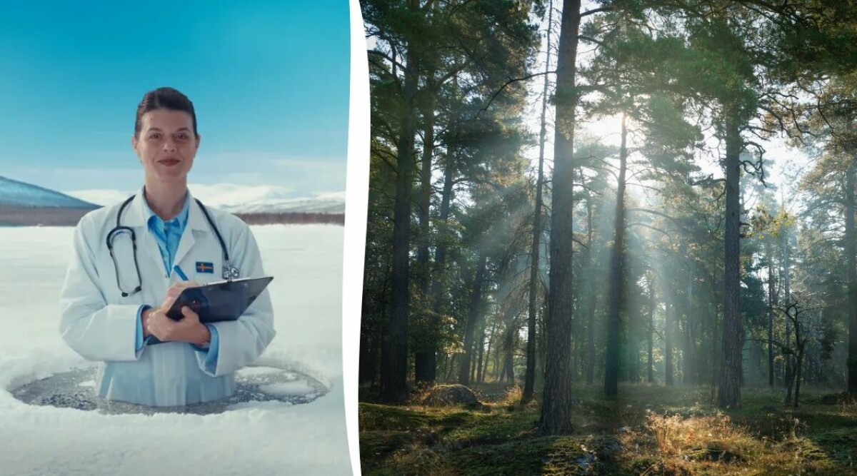 Lite deppig? Då kanske du behöver Sverige på recept!
