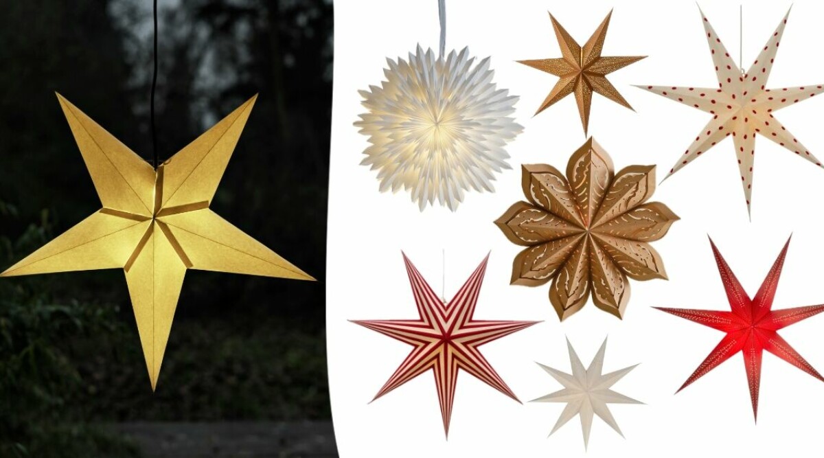 Adventsstjärna 2025: 12 härliga stjärnor inför jul!
