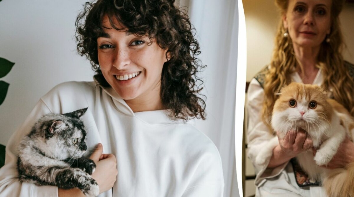 Forskning: Personer som älskar katter är mer intelligenta