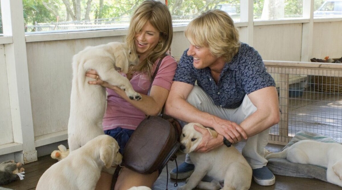 Hundägare är mer benägna att pussa sin hund än sin partner