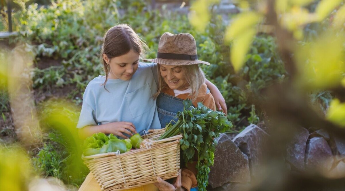 4 fina skäl till att barn älskar att vara hos sina mor- och farföräldrar