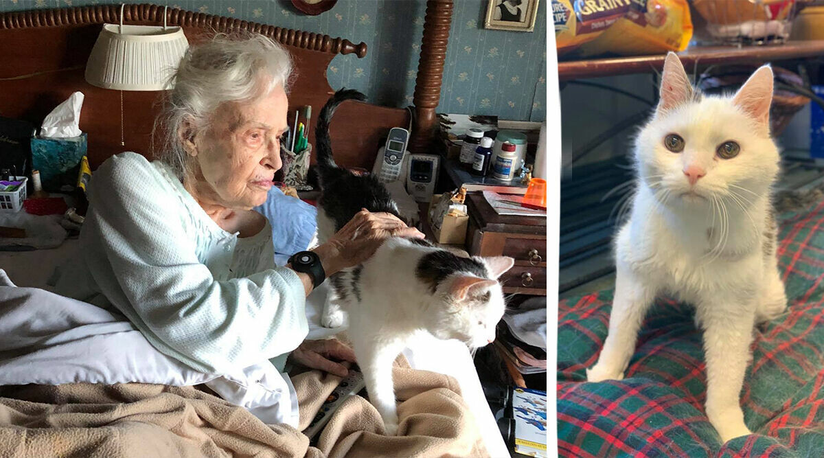 101-åriga kvinnan adopterade den äldsta katten – Gus, 19