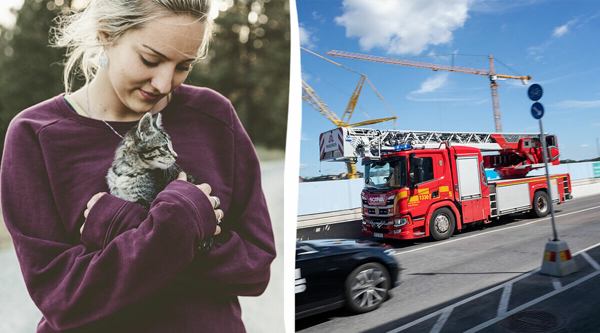 Svaren på de mest ställda frågorna på internet