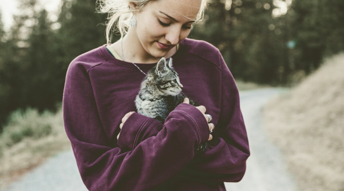 Paret begravde sin katt - nästa dag dök den upp oskadd