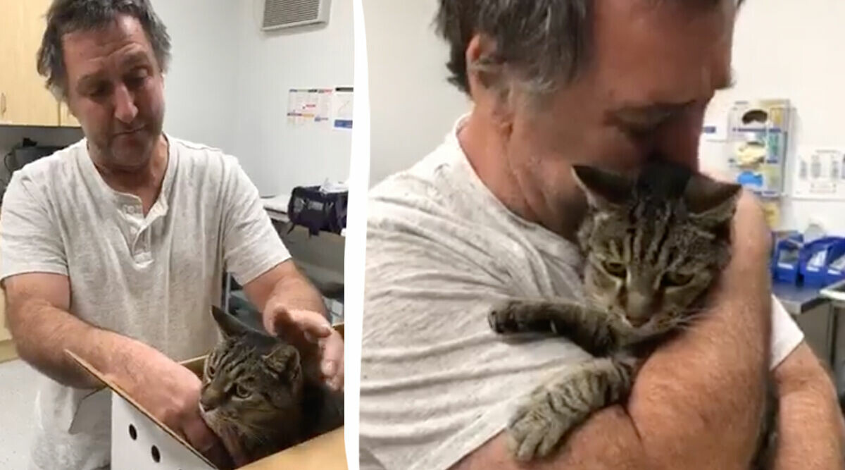 Robert återförenas med sin katt – efter att ha letat i sju år