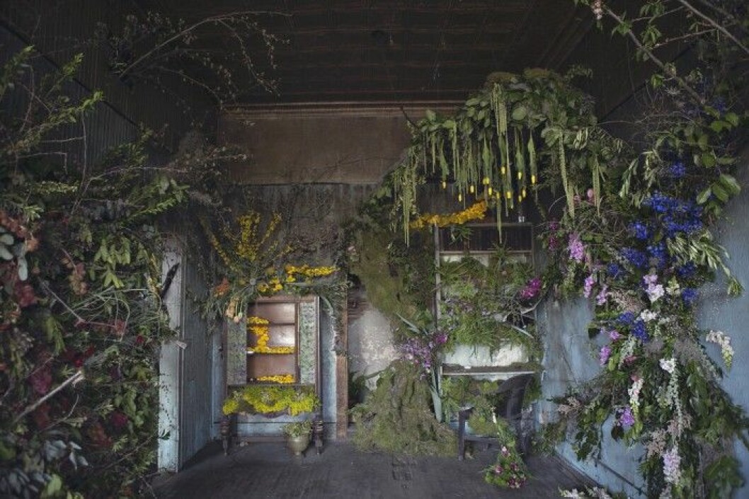 Foto Heather Saunders. Foto Heather Saunders.