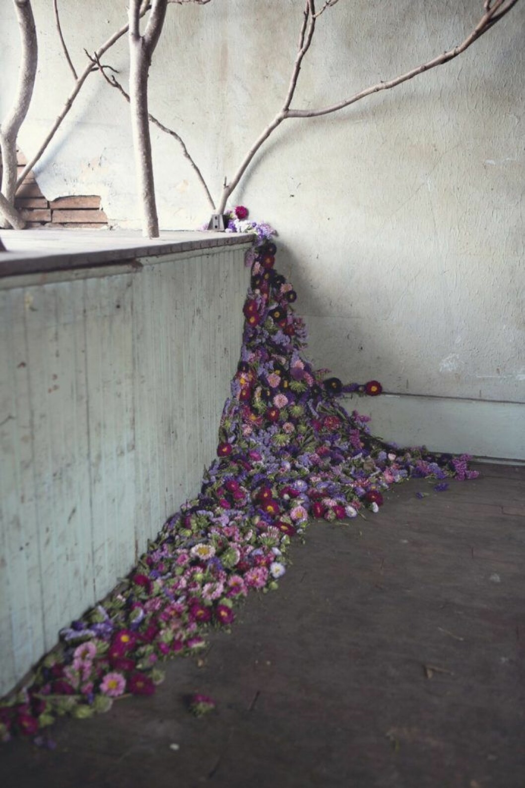Foto Heather Saunders. Foto Heather Saunders.