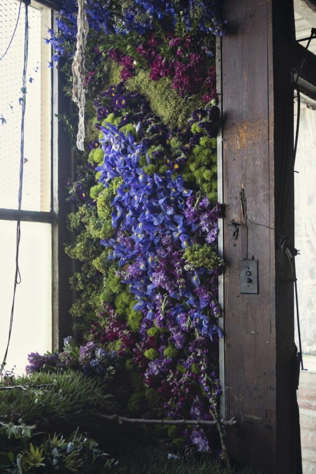 Foto Heather Saunders. Foto Heather Saunders.