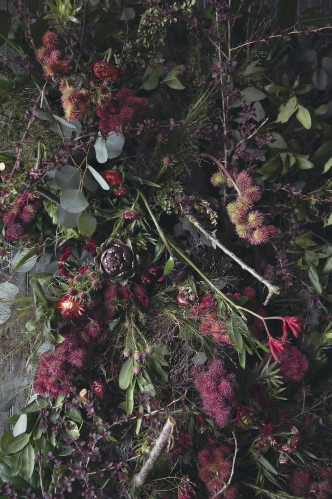 Foto Heather Saunders. Foto Heather Saunders.