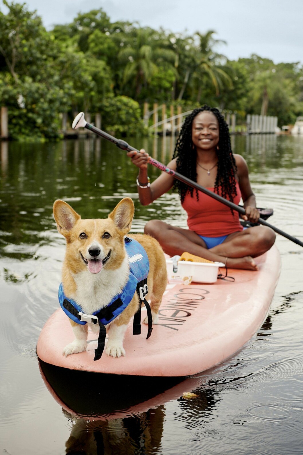 Nu kan du prova SUP med en corgi via Airbnb:s nya djurupplevelser. Foto: Airbnb Sup-paddla med en corgi via Airbnb:s nya djurupplevelser