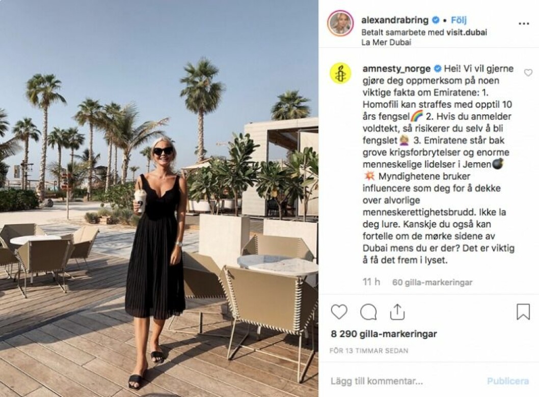 Alexandra Bring kritiseras av Amnesty