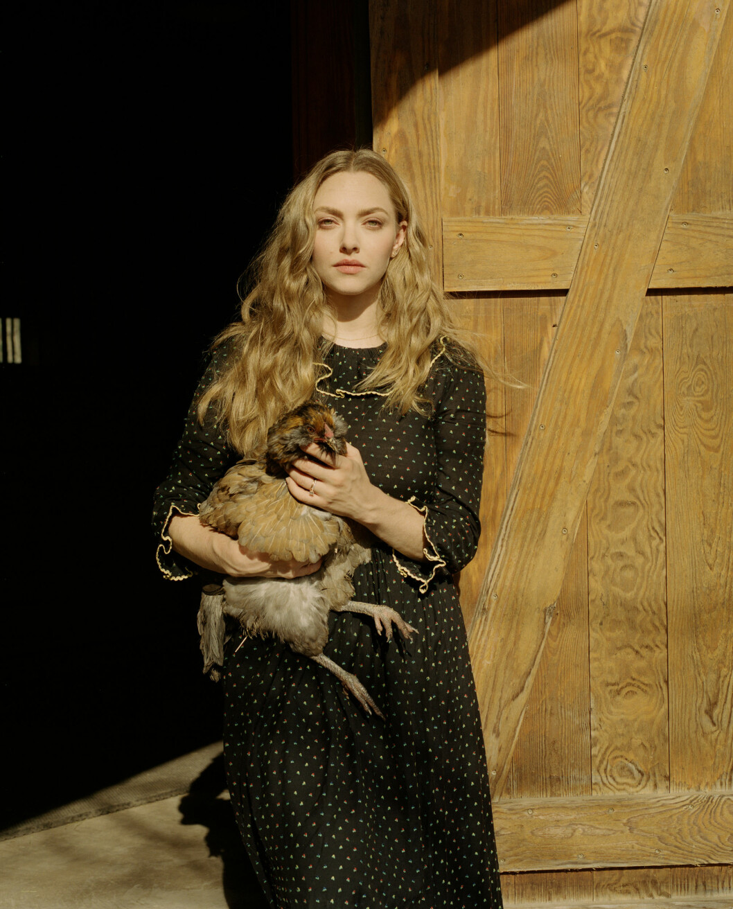 Amanda Seyfried hemma på gården. amanda seyfried håller i en höna