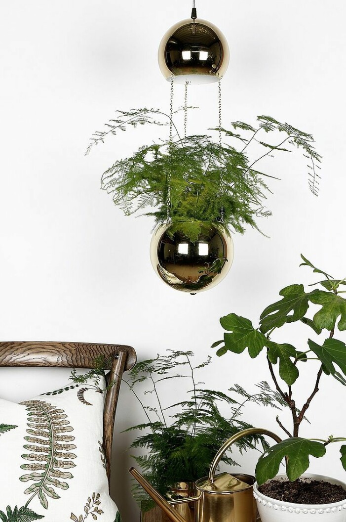 ampel och lampa