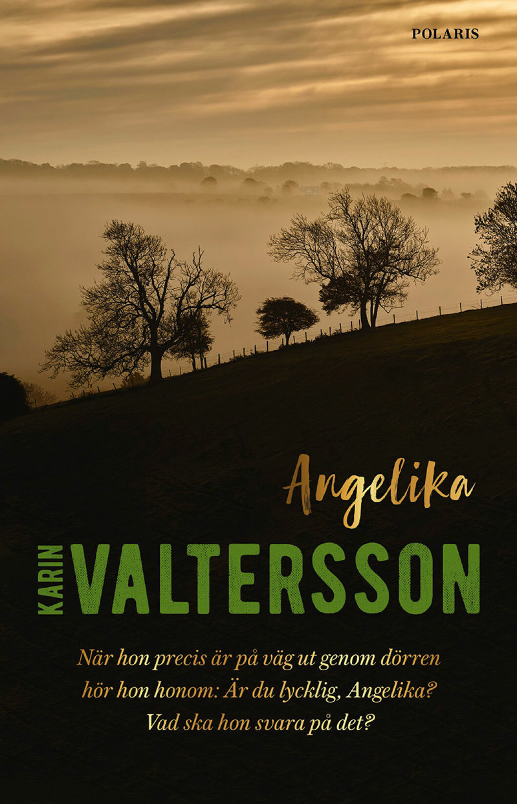 En välskriven debut av Karin Valtersson. Angelika av Karin Valtersson