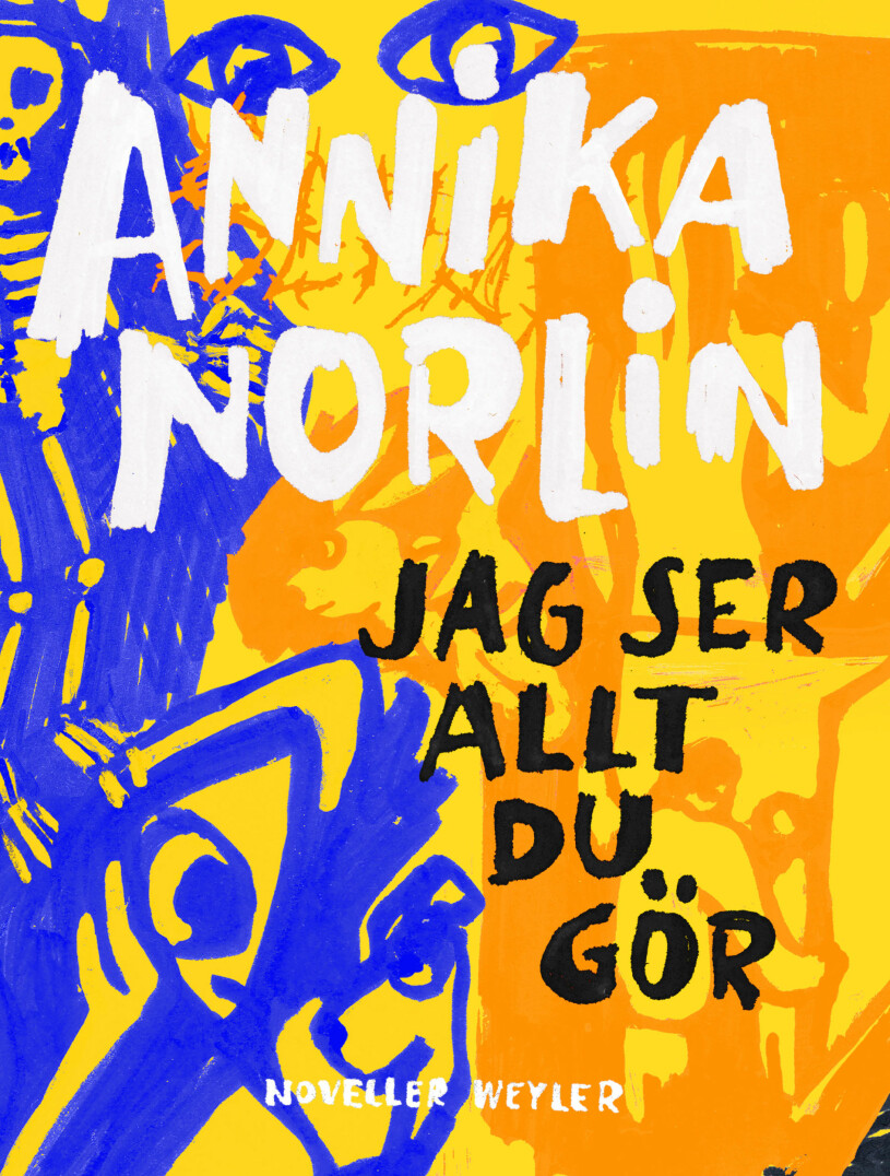 Jag ser allt du gör Annika Norlin