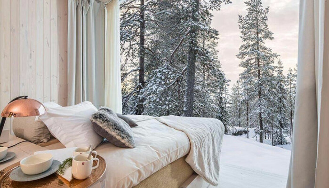 Foto: Arctic Treehouse Hotel Arctic Treehouse Hotel är en unik, naturnära hotellupplevelse