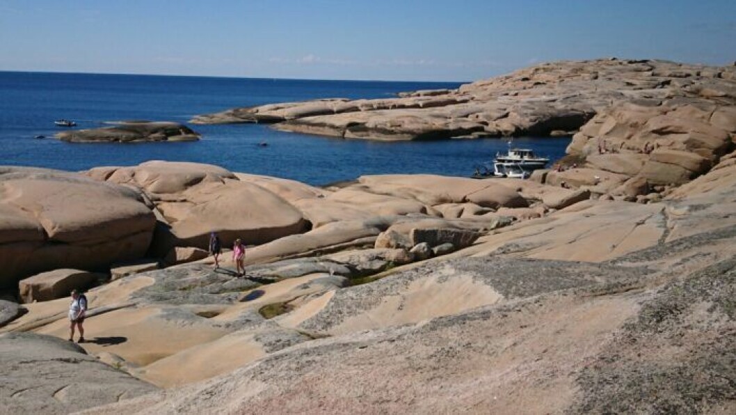 Årets badklippa 2019 STF