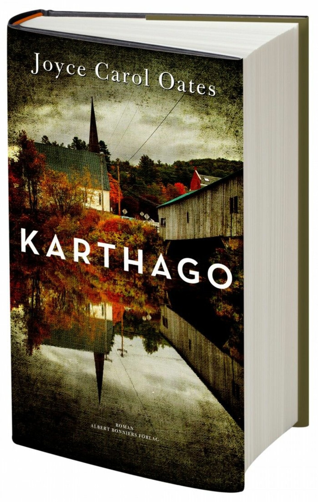 ROMAN ❤❤❤❤❤ <em>Karthago</em>. <a href="https://www-master.femina.se/karthago-av-joyce-carol-oates/" target="_blank">Läs recensionen här » </a> ROMAN ❤❤❤❤❤ Karthago. Läs recensionen här »