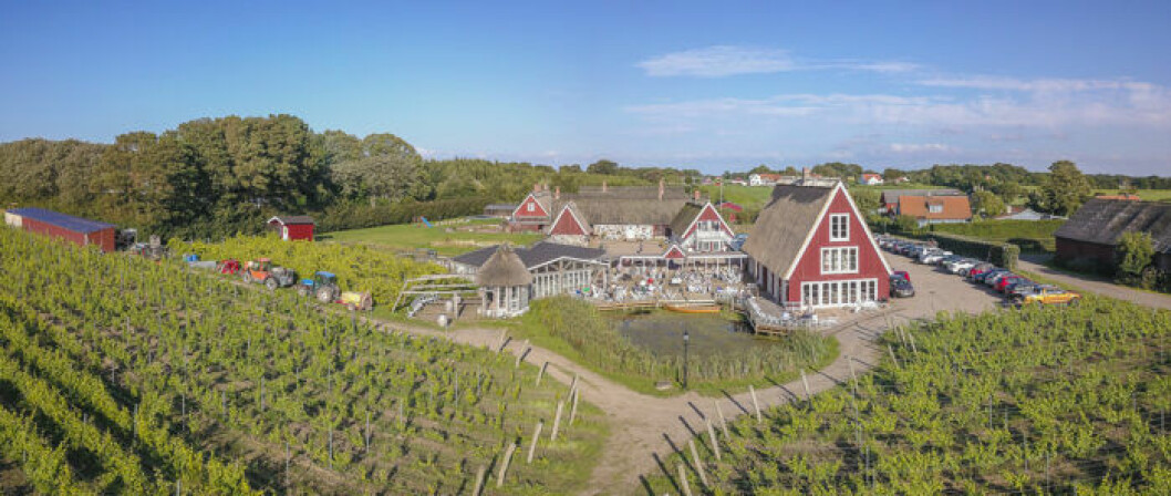 Arilds Vingård