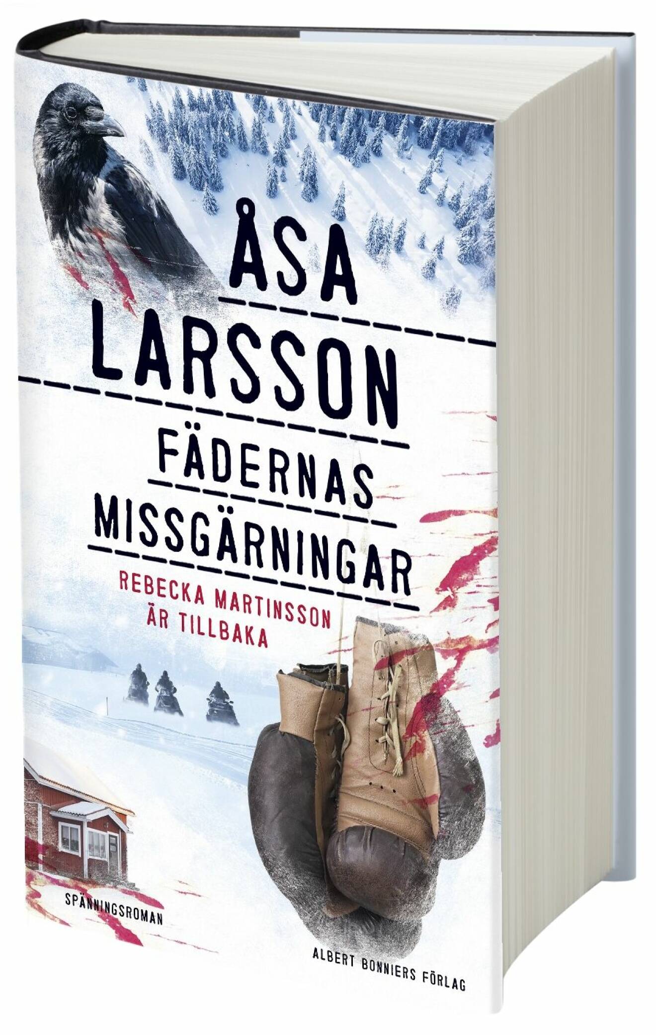 Åsa Larsson Fädernas missgärningar bok