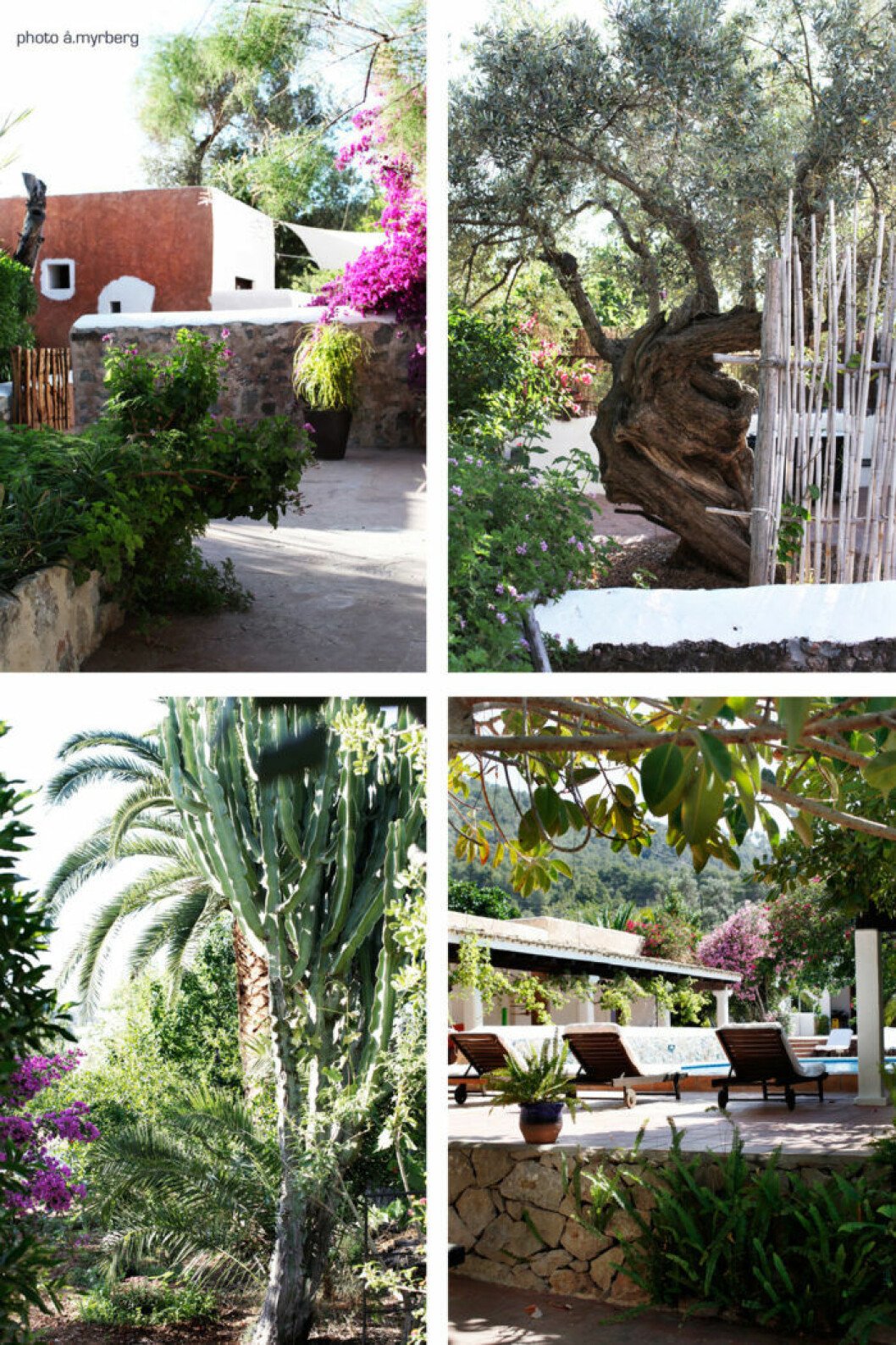 Vi vill åka till Ibiza och bo på <a href="http://blogg.skonahem.com/atmycasa/2015/06/22/att-bo-pa-agroturismo-pa-ibiza/" target="_blank">Agroturismo Can Pere Sord</a> efter att ha läst Åsa Myrbergs resetips. Vi vill åka till Ibiza och bo på Agroturismo Can Pere Sord efter att ha läst Åsa Myrbergs resetips.