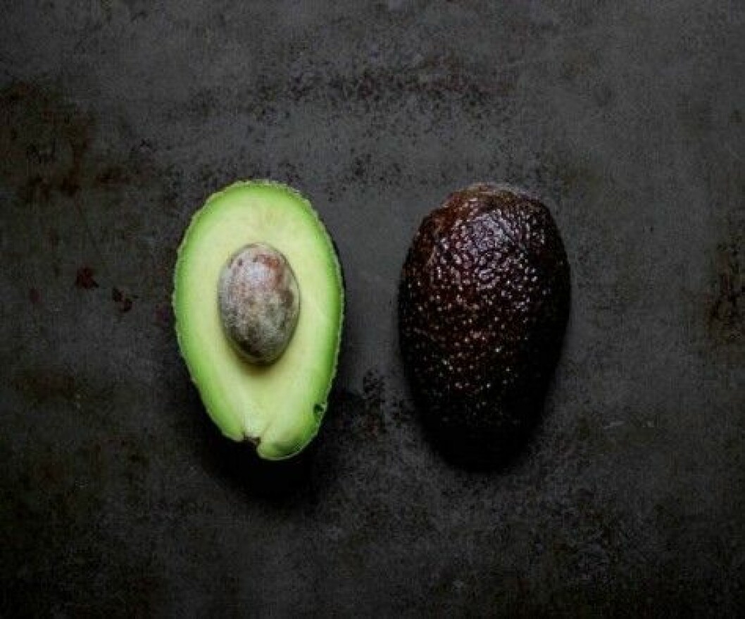 avo-2
