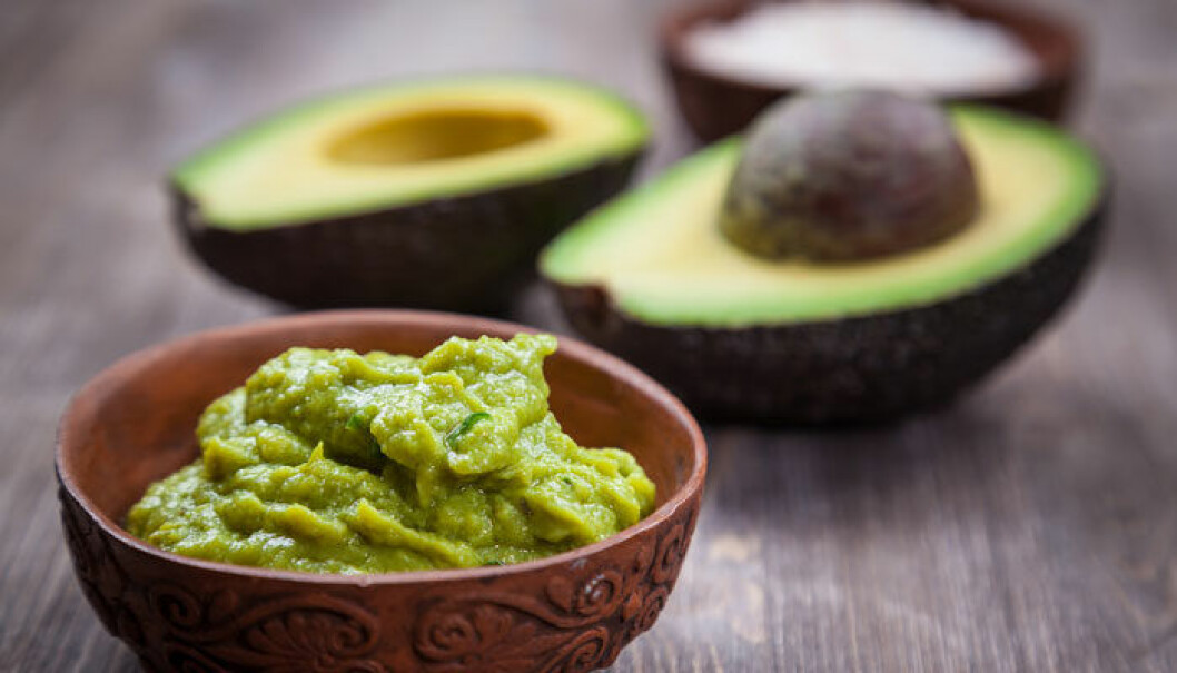 avocado
