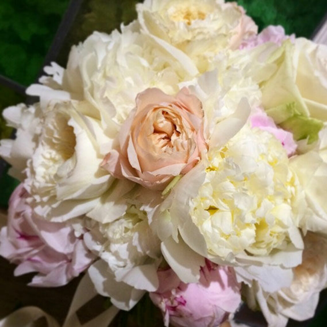 bara-blommor-pion-full-blom