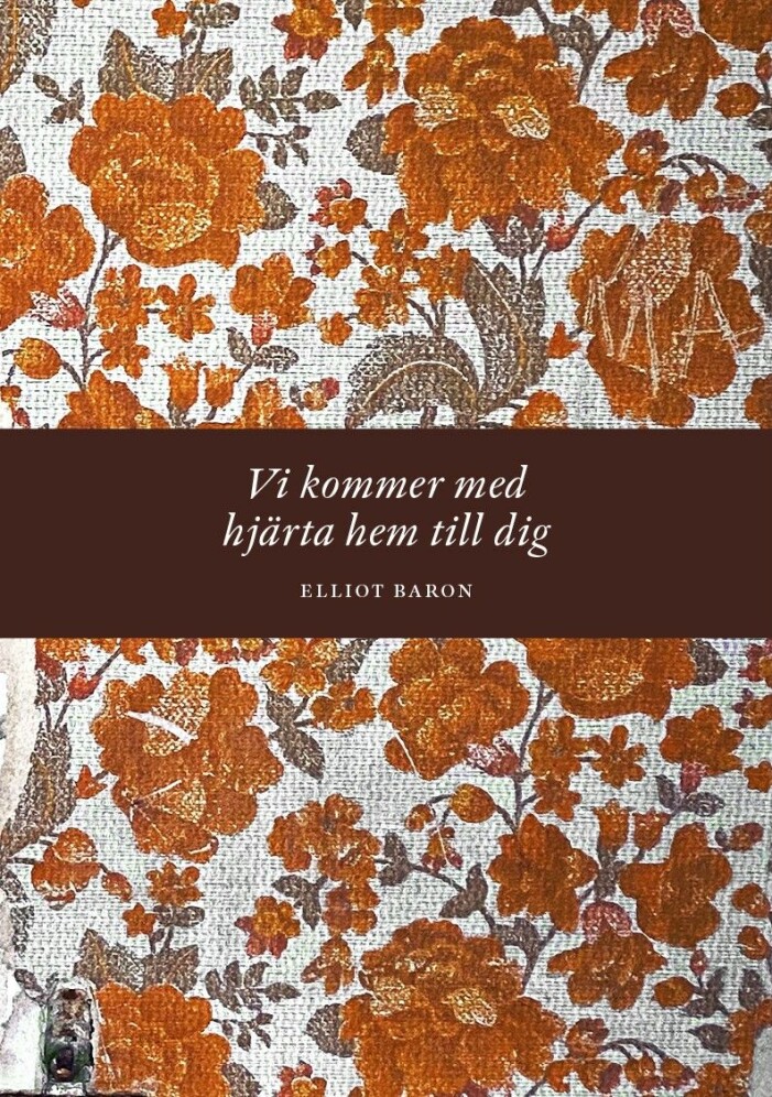 Boken Vi kommer hjärta hem till dig av Elliot Baron
