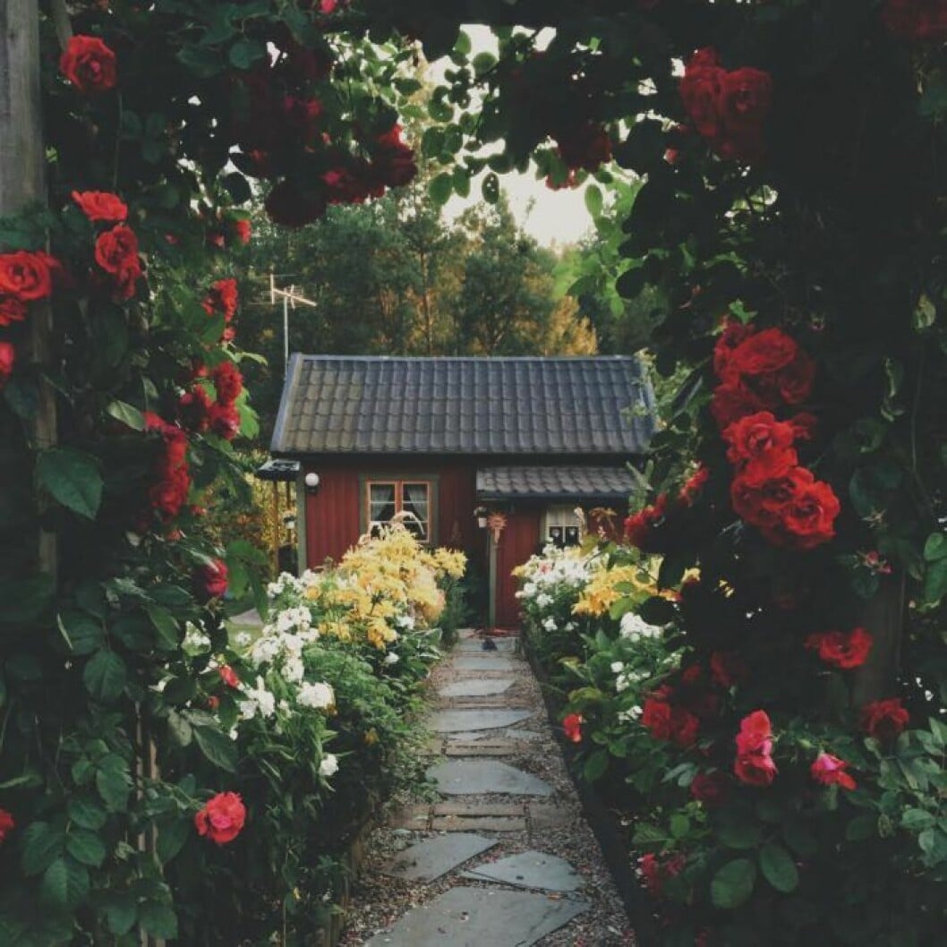 Bästa Tiden Att Lägga Upp En Bild På Instagram